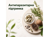 Антипаразитарна підтримка