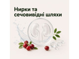 Нирки та сечовивідні шляхи