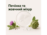 Печінка та жовчний міхур