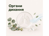 Органи дихання