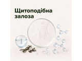 Щитоподібна залоза
