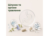 ШКТ та органи травлення