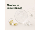 Памʼять та концентрація
