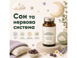 Сон та нервова система