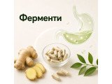 Ферменти