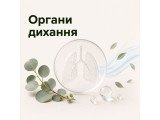 Органи дихання