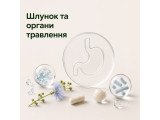 ШКТ та органи травлення