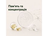 Памʼять та концентрація