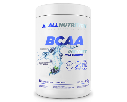 BCAA Max Support Instant - 500g Bllueberry