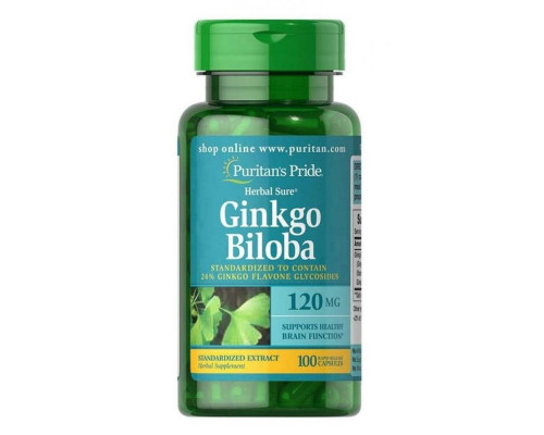 Ginkgo Biloba Standardized Extract 120mg - 100caps