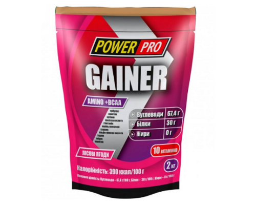 Gainer - 2000g Forest Fruit
