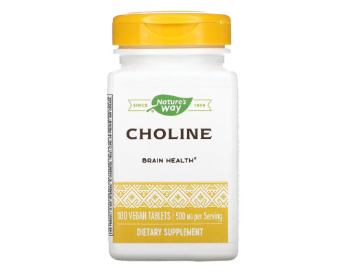 Choline 500 mg - 100 tabs