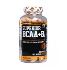 BCAA +B6 - 210 tab
