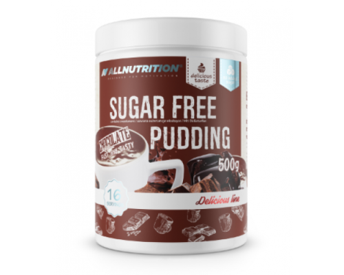 Sugar Free Pudding - 500g Chocolate