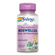 Босвелія екстракт смоли Boswellia Resin Extract 450mg - 60 vcaps