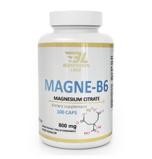 Magne B6 800mg - 100caps