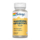 Магній – аспартат, цитрат та оротат Magnesium Asporotate 400mg - 60 vcaps