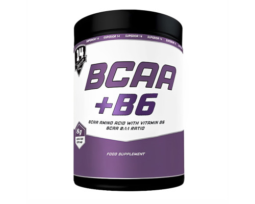 BCAA + B6 - 550g 100servs 400tab