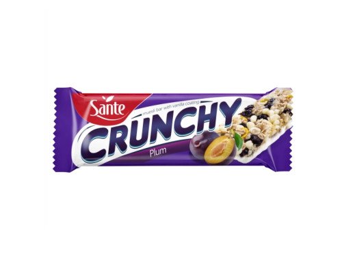 Crunchy bar - 25x40g Plums and Vanilla