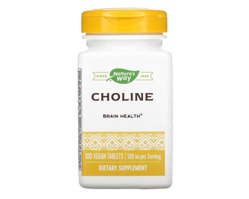 Choline 500 mg - 100 tabs