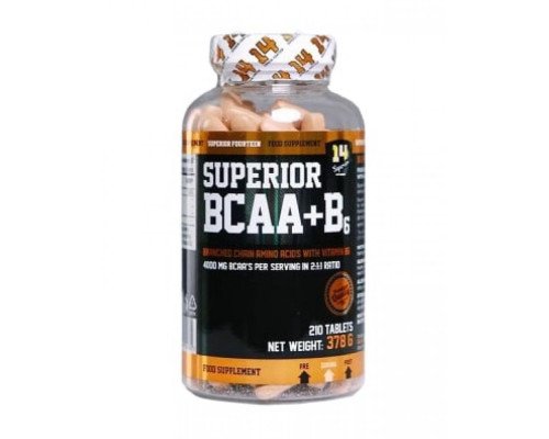 BCAA +B6 - 210 tab