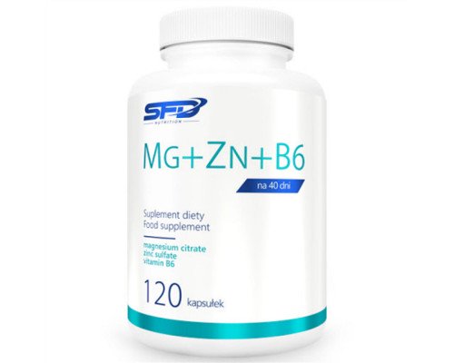 MG+ZN+B6 - 120caps