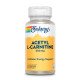 Ацетил L-карнитин Acetyl L-Carnitine 500mg - 30 vcaps