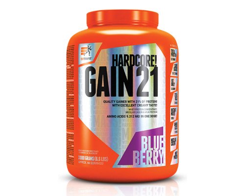 Hardcore Gain21 - 3000g Blueberry
