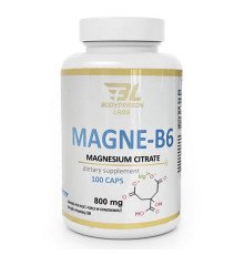 Magne B6 800mg - 100caps