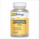 Магний в формах аспартата, цитрата и оротата Magnesium Asporotate 400mg - 120 vcaps
