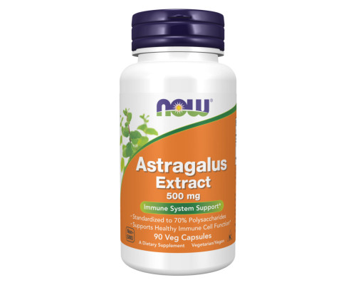 Astragalus Extract 500mg - 90vcaps