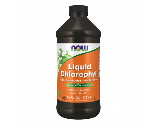 Chlorophyll Liquid Mint - 16 oz