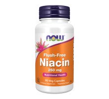 Niacin Flush Free 250mg - 90 vcaps