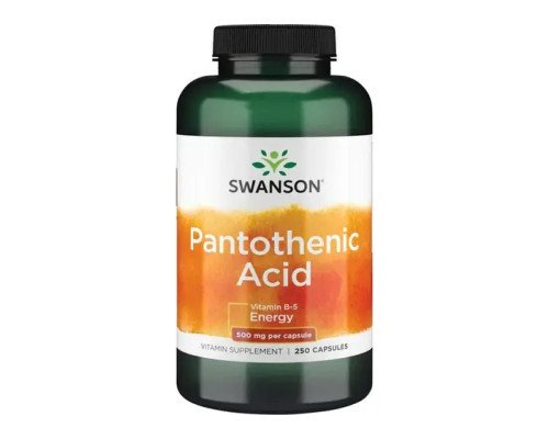 Pantothenic Acid 500mg - 250caps