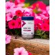 4Life Transfer Factor Belle Vie  – комплекс для женского здоровья