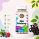 KAL Zinc Elderberry ActivMelt® – цинк і бузина для підтримки імунітету дітей, Mixed Berry, 90 micro tablets