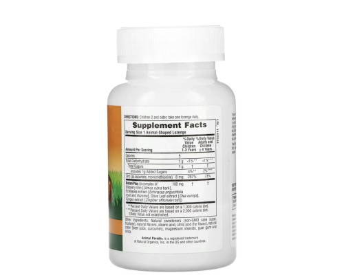 Nature’sPlus Animal Parade® Kid Zinc® Tangerine Flavor – дитячий цинк з ехінацеєю та оливковим листям, 90 пастилок