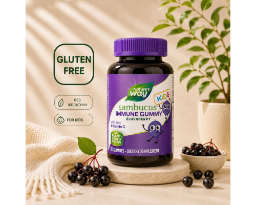 Sambucus Kids Immune Support — детские gummies с бузиной для поддержки иммунитета, 60 gummies