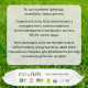 Органічні серветки Eco by Naty без запаху 56 шт