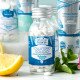 Органические мятные таблетки для полоскания рта Officina Naturae, 40 г